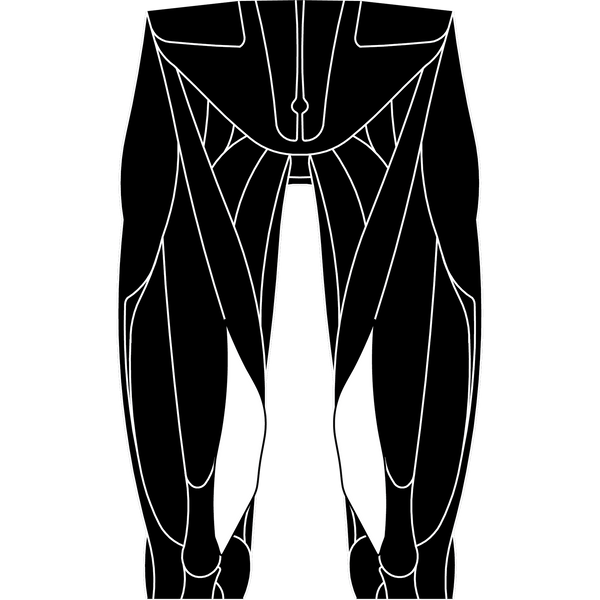 Vastus Medialis