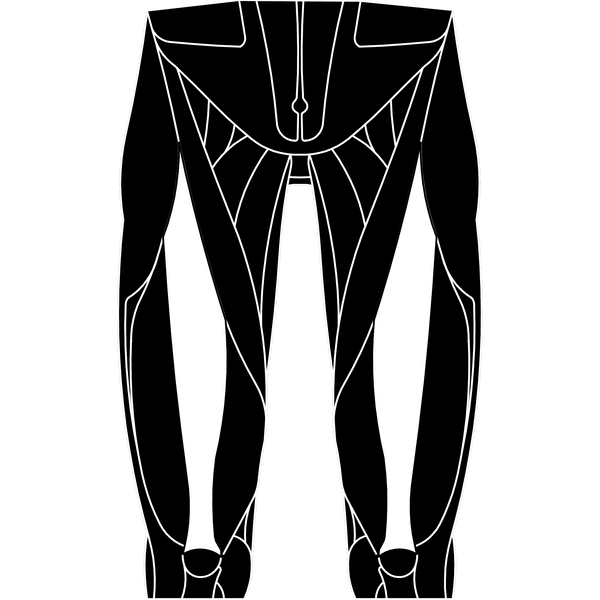 Rectus Femoris