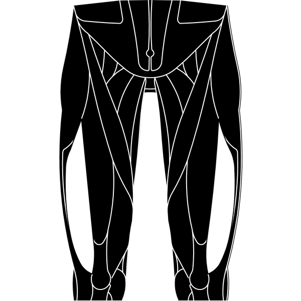 Vastus Lateralis